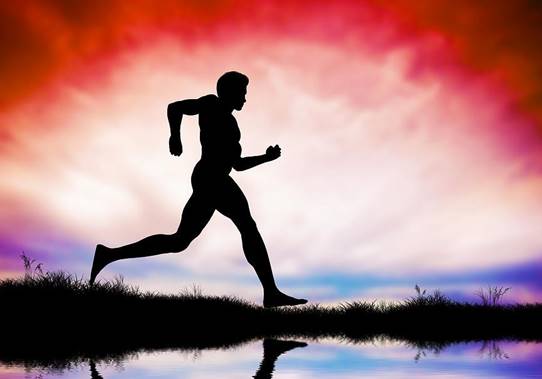 Une image contenant silhouette

Description g�n�r�e automatiquement