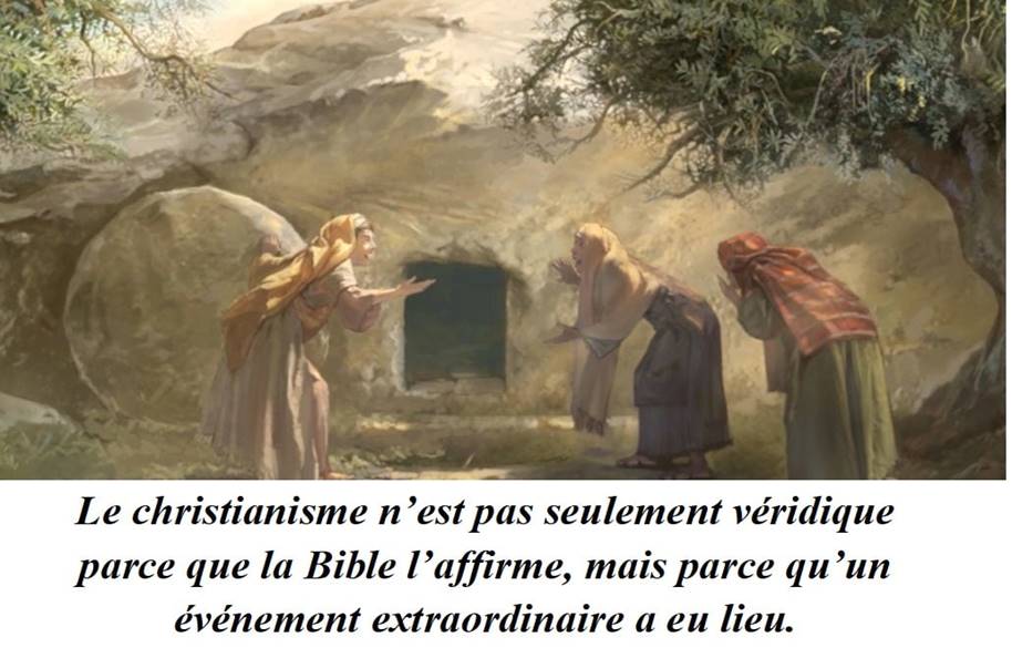 Une image contenant texte
Description générée automatiquement