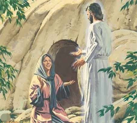 Une image contenant texte

Description g�n�r�e automatiquement