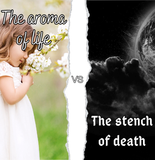 Une image contenant texte, fleur, baiser, Amour

Description g�n�r�e automatiquement